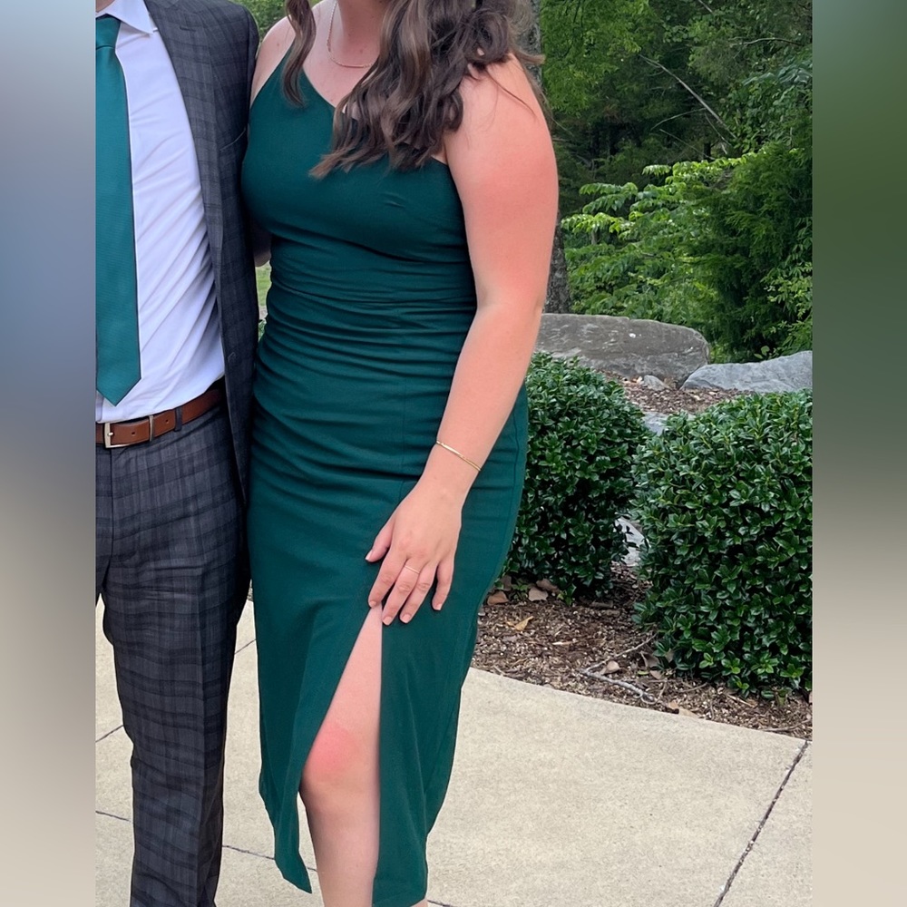 Petal and Pup Xiomar Dress